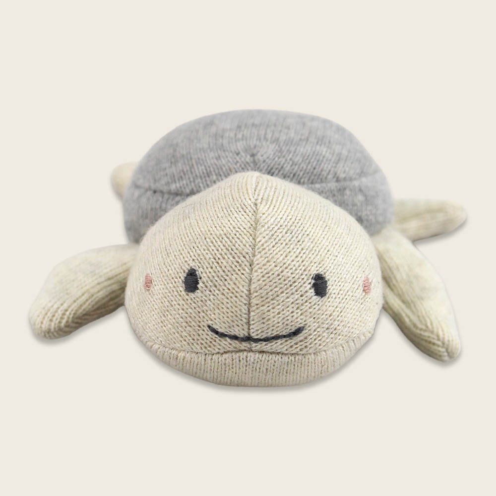 Babyrassel Schildkröte, grau
