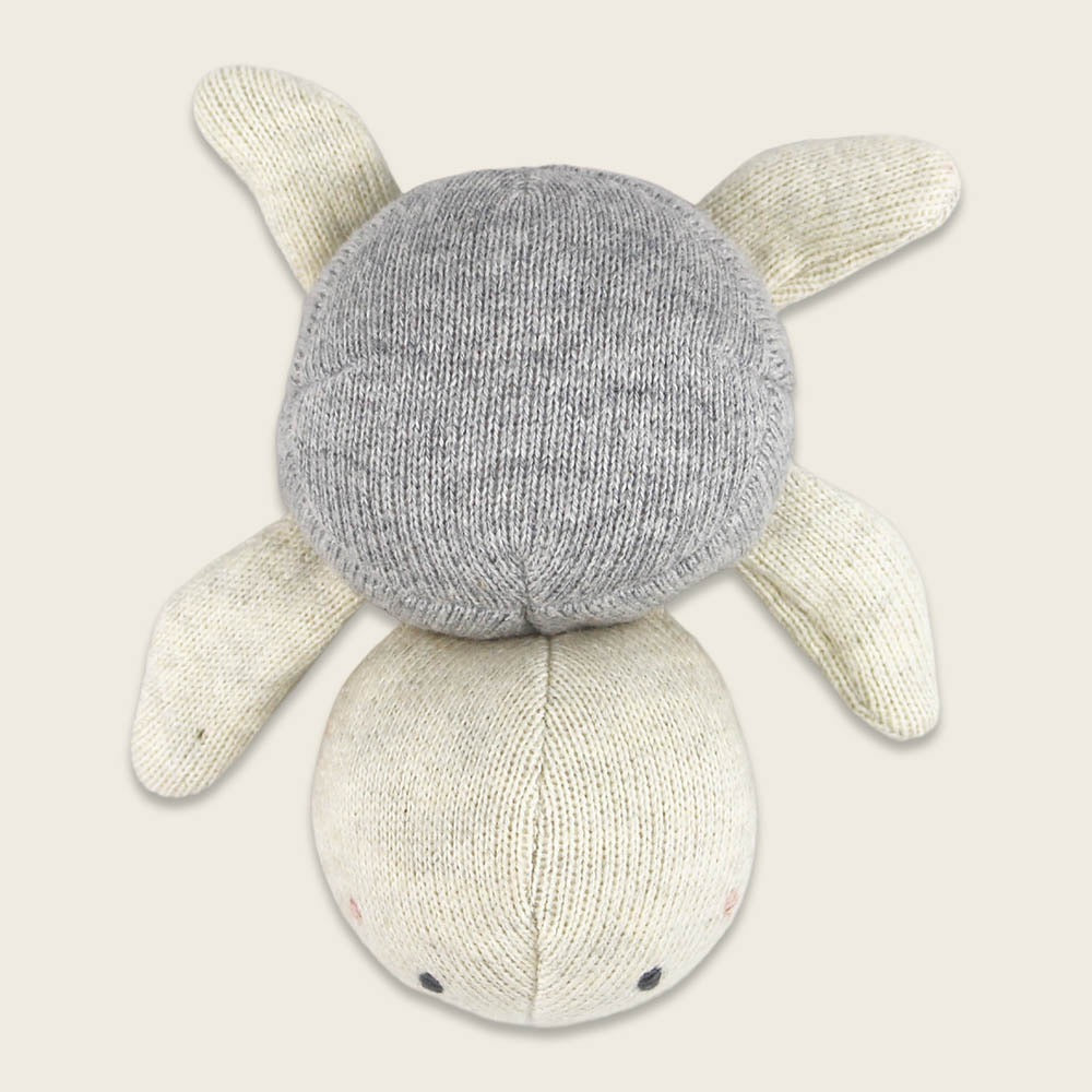 Babyrassel Schildkröte, grau